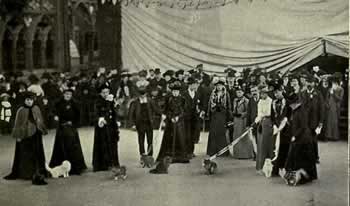 Cat Show at the Crystal Palace in London in 1903