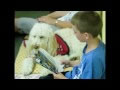 Reading dog program explanation from youtube