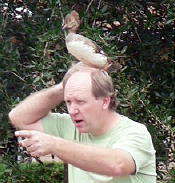 No ducks on your head when crossing state line in Minnesota ~ stupid animal laws in the US