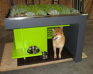 green dog houses with sustainable roofs