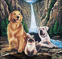 Walt Disney movie animals ~ Homeward Bound