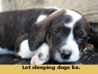 Let Sleeping Dogs Lie