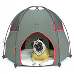 dog pup tent